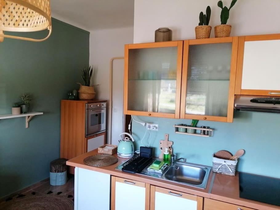 Studio Apartman Cactus Leilighet Zagreb Eksteriør bilde